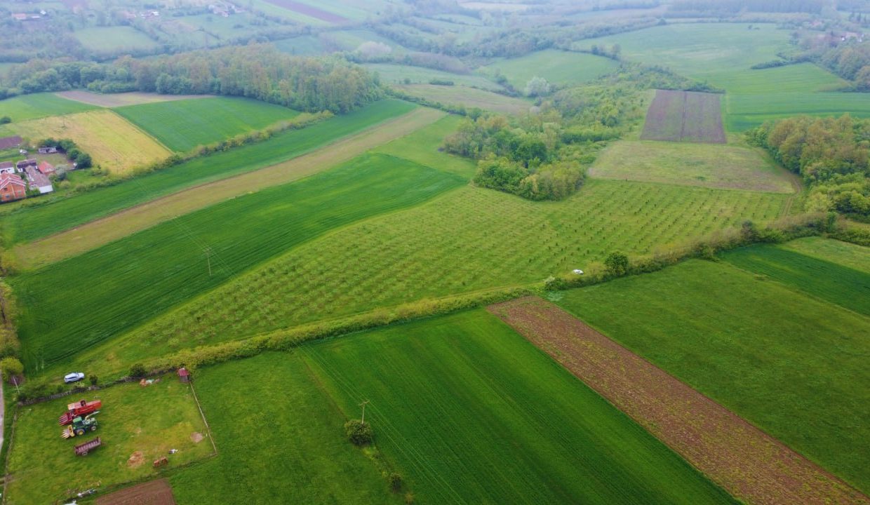 photo_2026-04-22_10-50-14 (4)