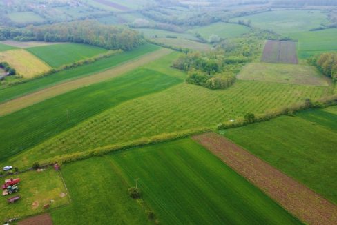 photo_2026-04-22_10-50-14 (4)