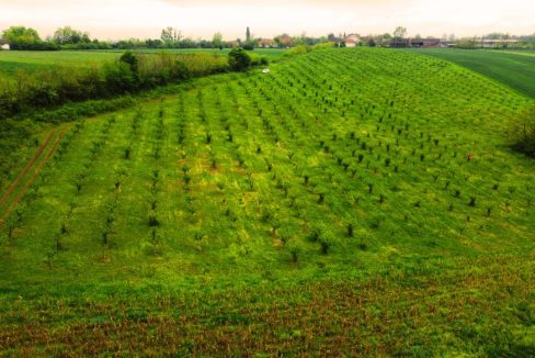 photo_2026-04-22_10-50-14