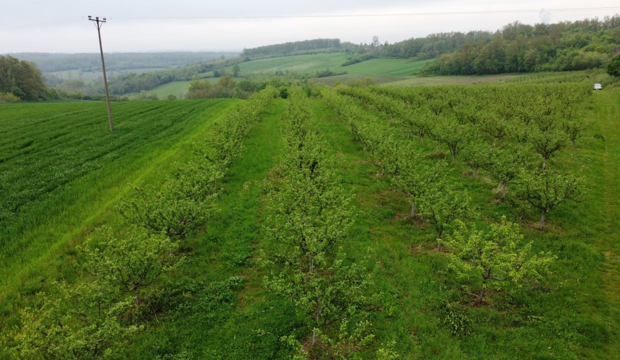 photo_2026-04-22_10-50-15
