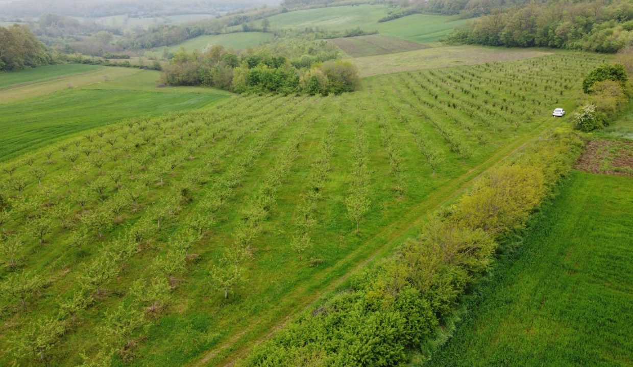 photo_2026-04-22_10-50-15 (2)