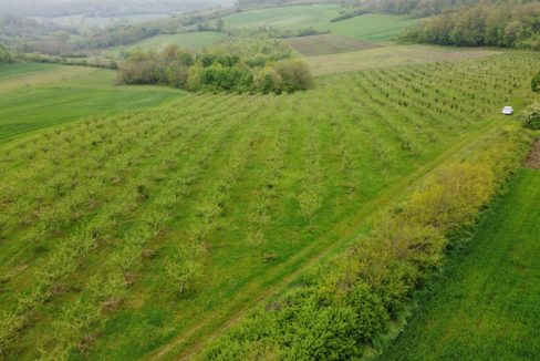 photo_2026-04-22_10-50-15 (2)