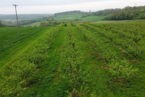 photo_2026-04-22_10-50-15