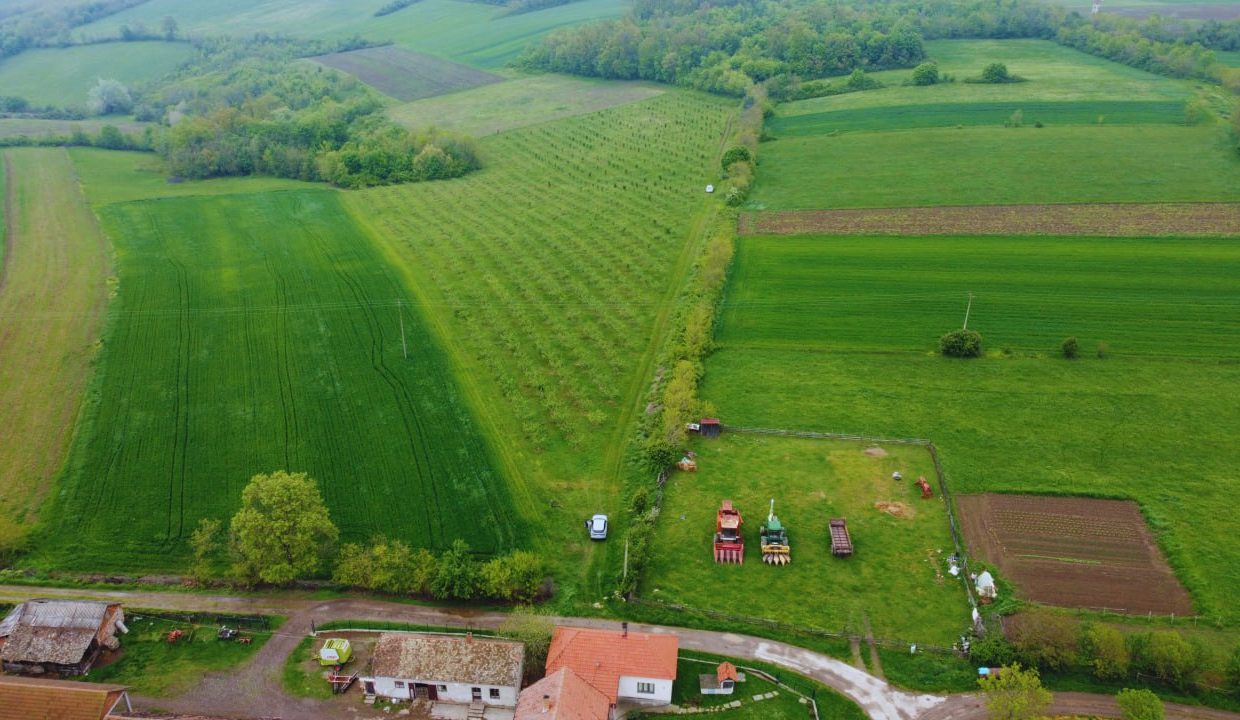 photo_2026-04-22_10-50-16