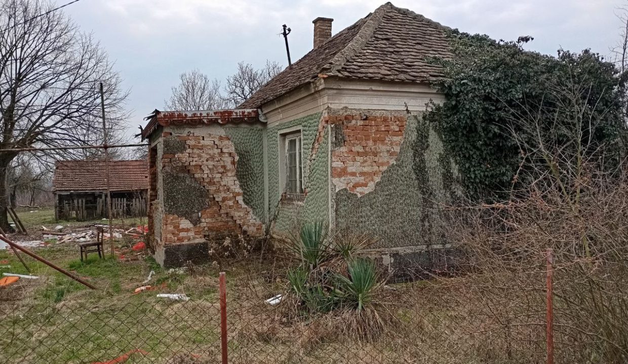 photo_2026-03-04_14-10-02