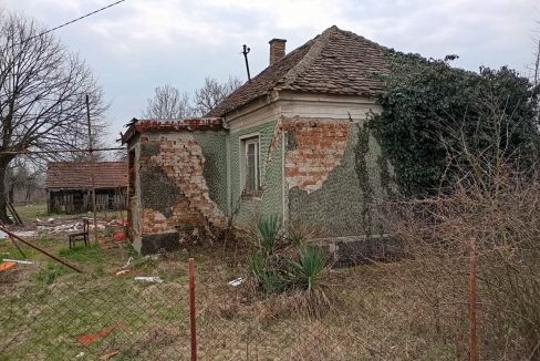 photo_2026-03-04_14-10-02