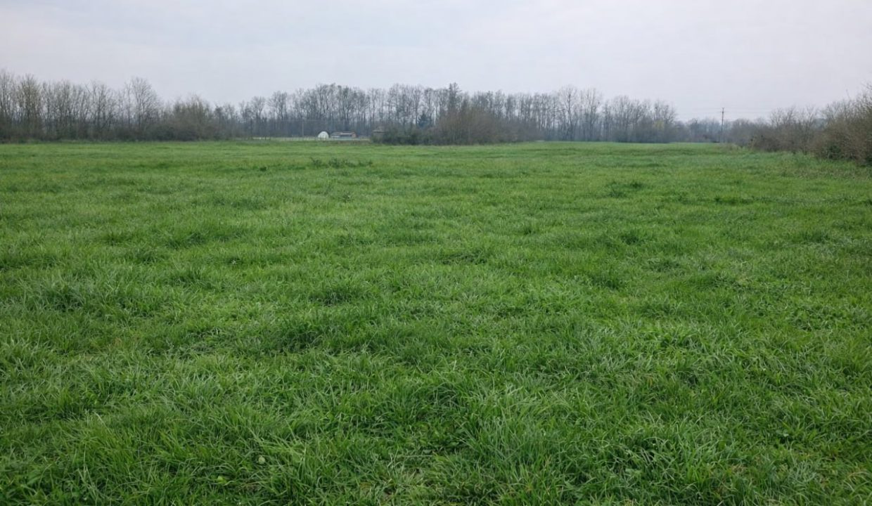 photo_2026-03-04_14-10-06