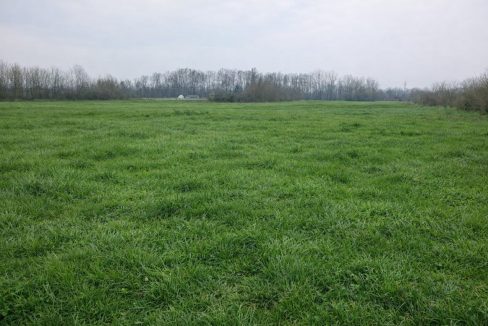 photo_2026-03-04_14-10-06