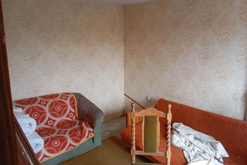 photo_2026-03-04_15-14-13