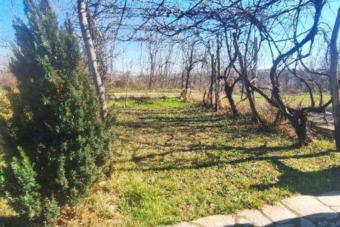 photo_2026-03-05_09-21-08