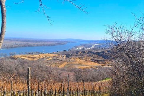 photo_2026-03-05_09-21-14