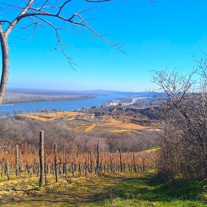 photo_2026-03-05_09-21-14