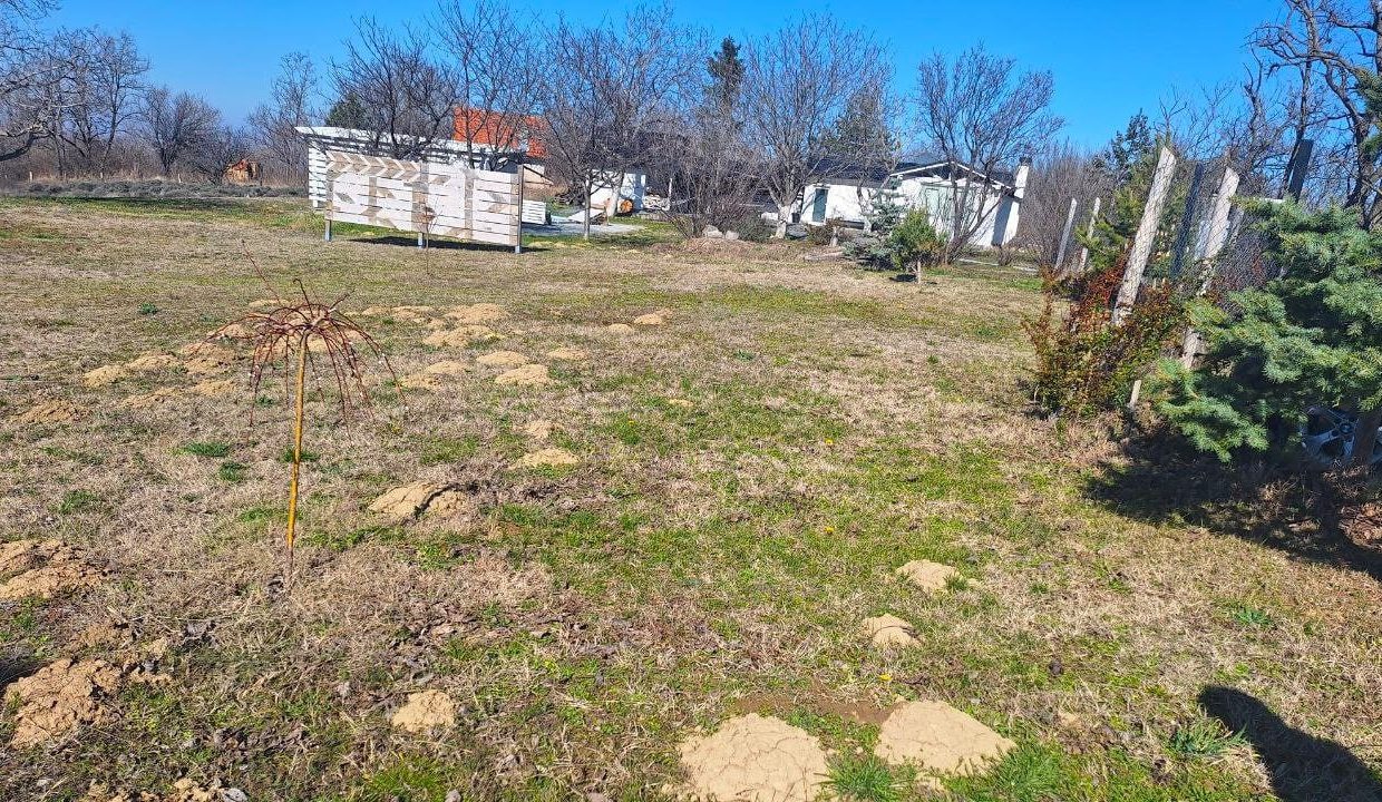 photo_2026-03-05_09-21-17