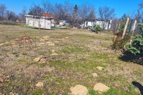 photo_2026-03-05_09-21-17