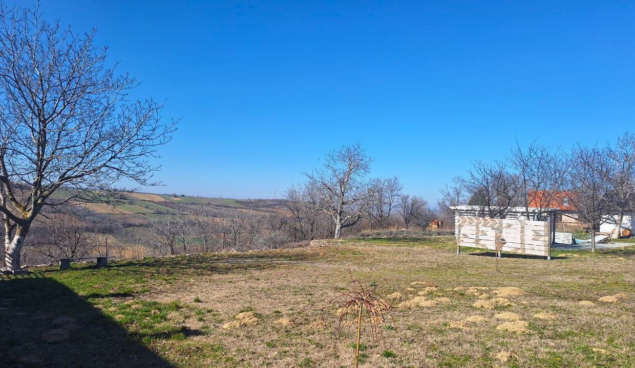 photo_2026-03-05_09-21-20