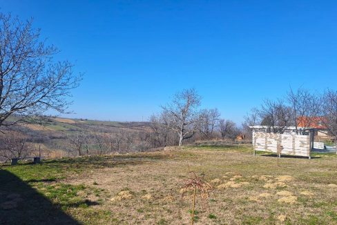 photo_2026-03-05_09-21-20