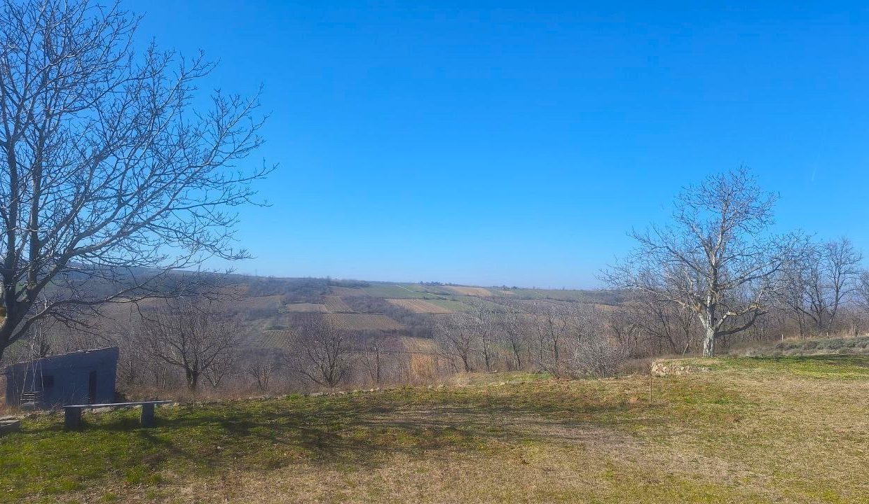 photo_2026-03-05_09-21-23