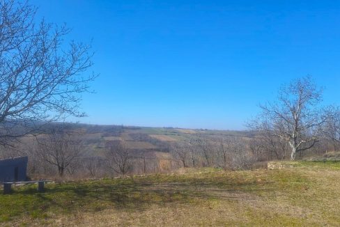 photo_2026-03-05_09-21-23