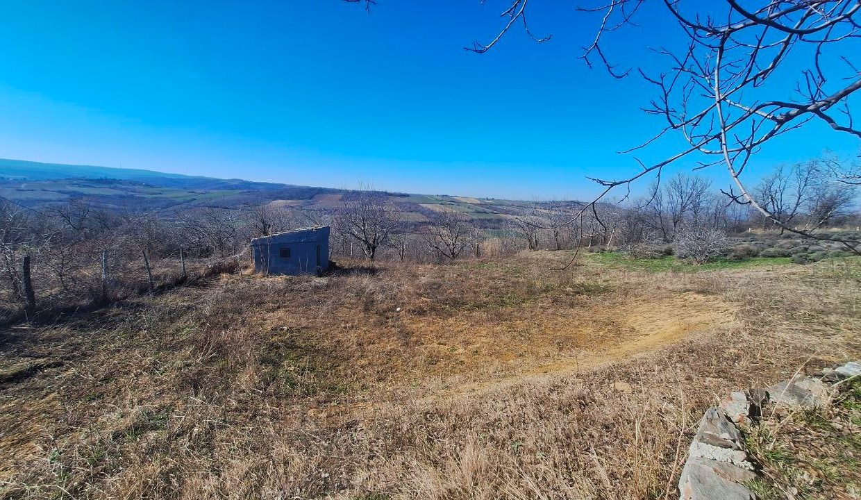 photo_2026-03-05_09-21-29