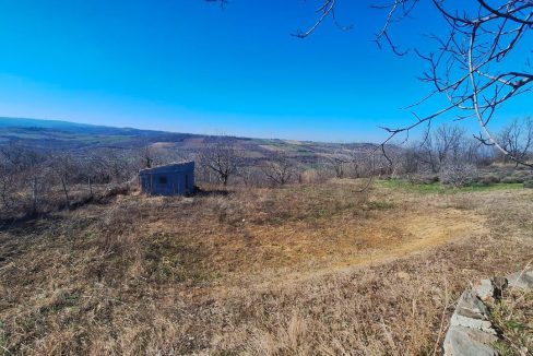 photo_2026-03-05_09-21-29