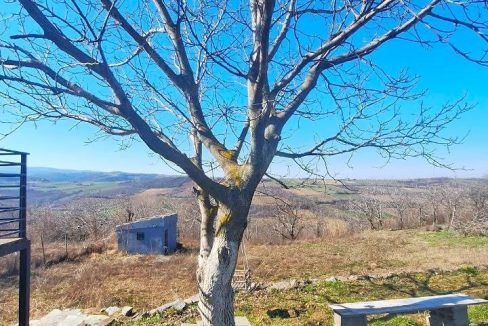 photo_2026-03-05_09-21-36