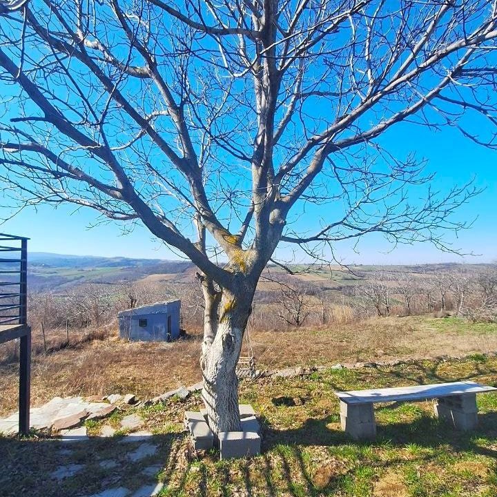 photo_2026-03-05_09-21-36