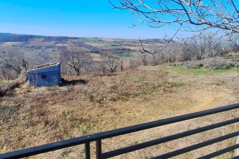 photo_2026-03-05_09-22-05