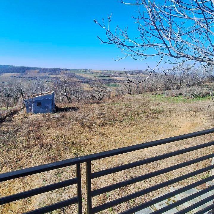 photo_2026-03-05_09-22-05