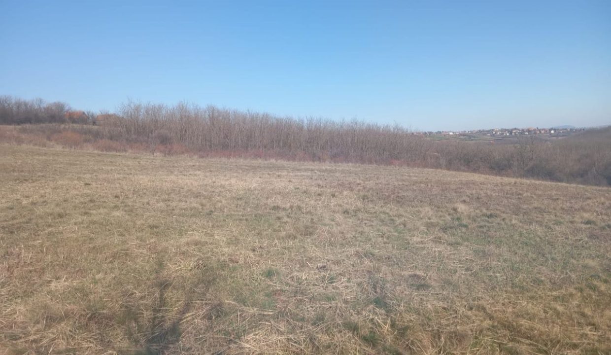 photo_2026-03-10_08-46-30