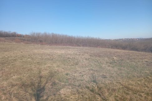 photo_2026-03-10_08-46-30