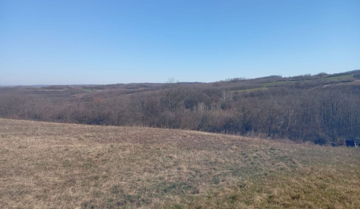 photo_2026-03-10_08-46-33