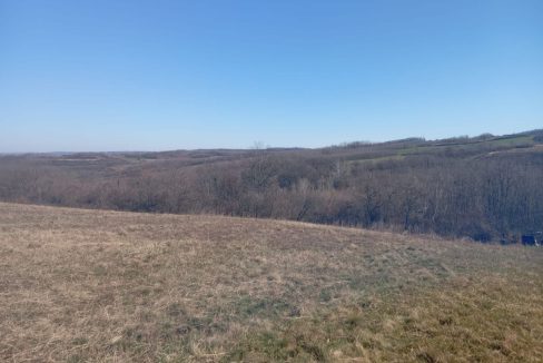 photo_2026-03-10_08-46-33