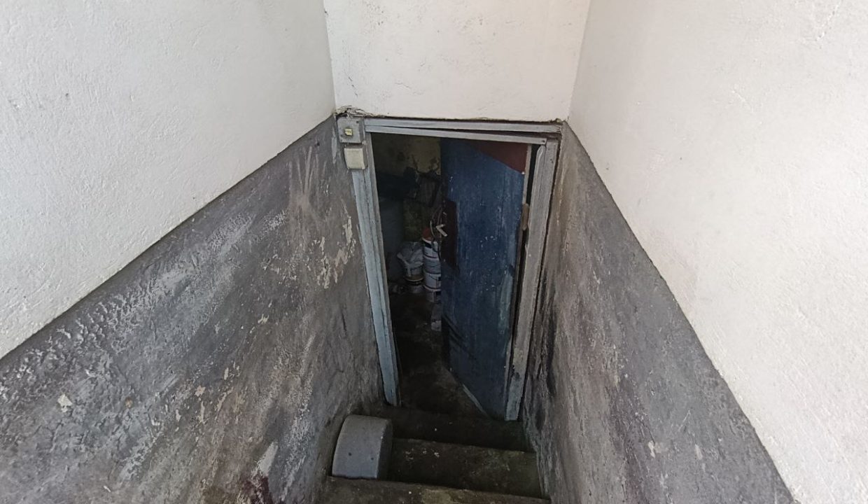 photo_2026-03-10_09-14-59