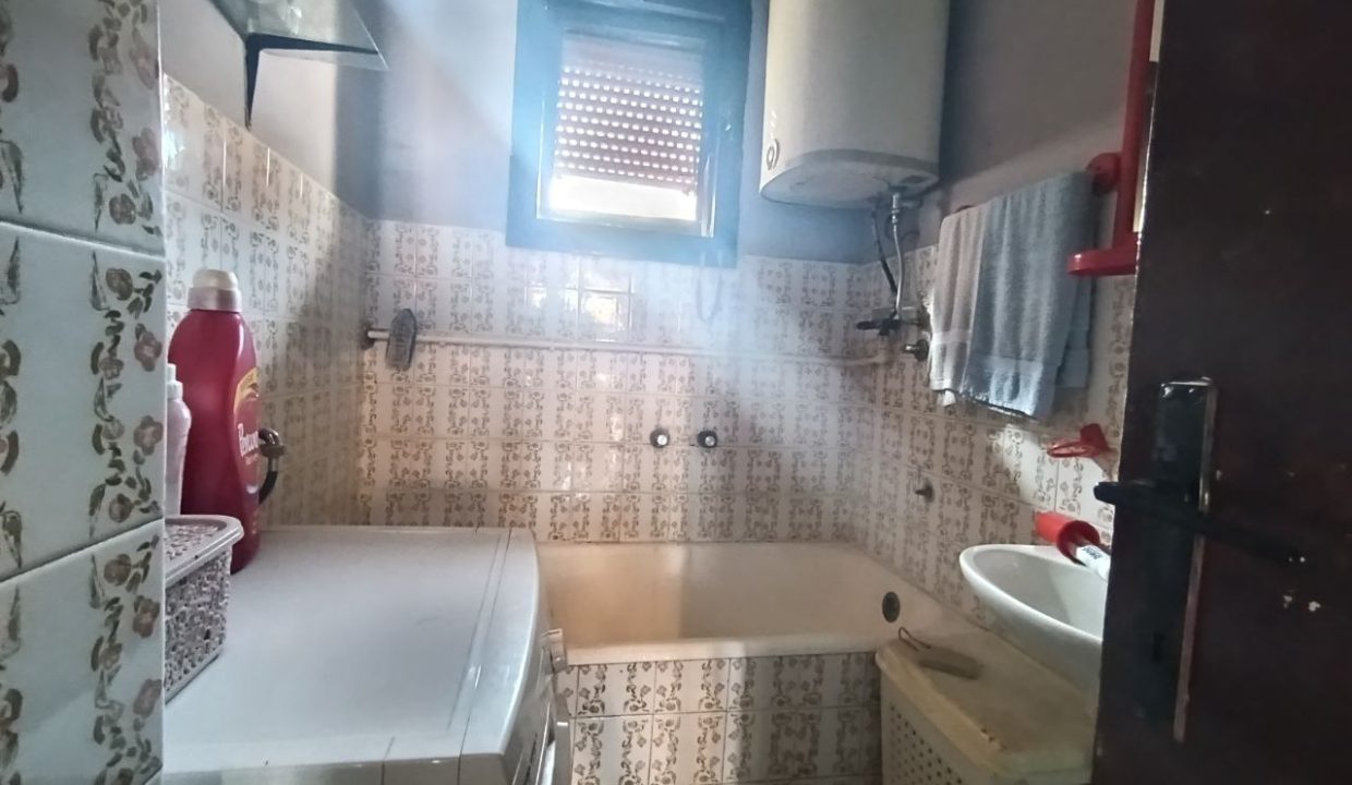 photo_2026-03-10_09-15-04