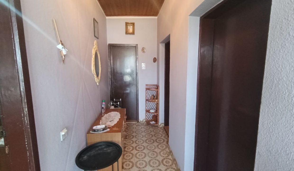 photo_2026-03-10_09-15-15