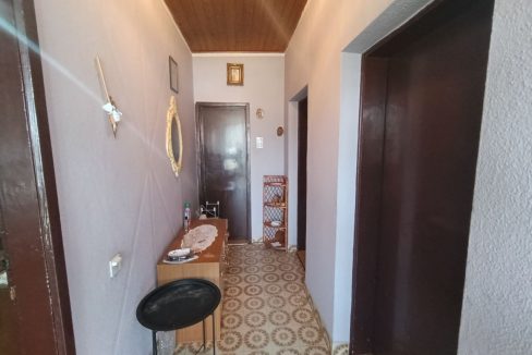 photo_2026-03-10_09-15-15