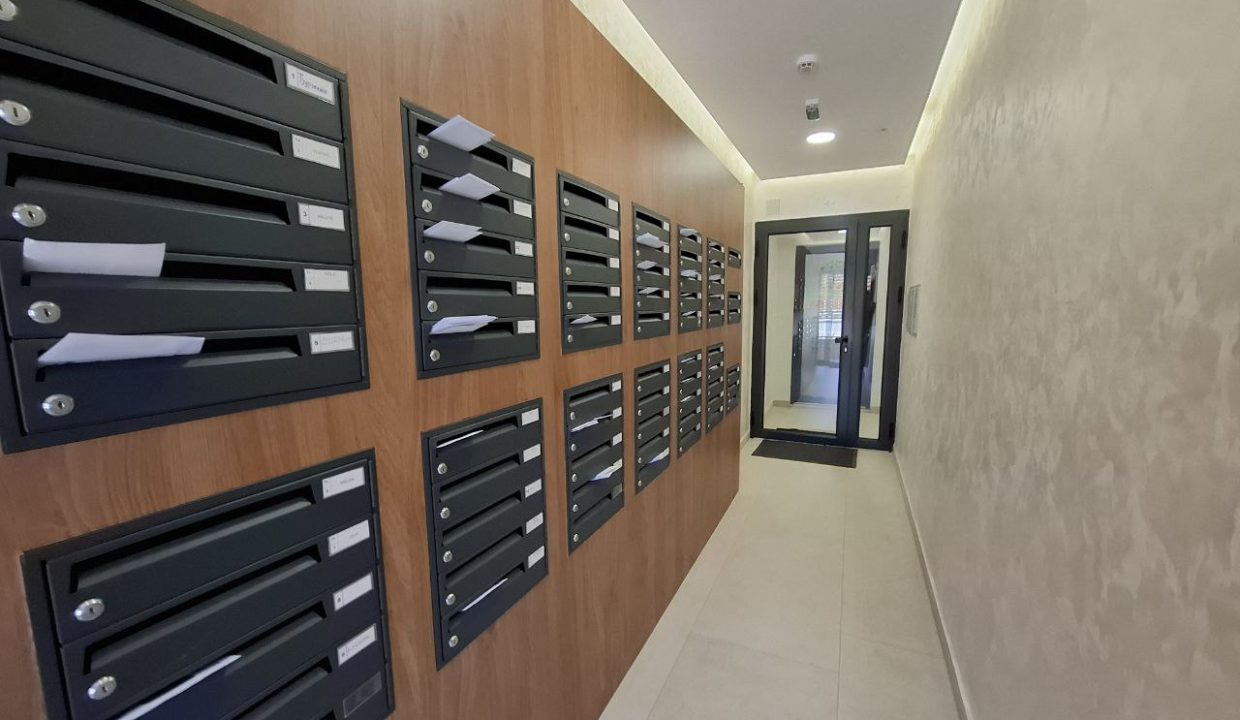 photo_2026-03-11_14-10-39