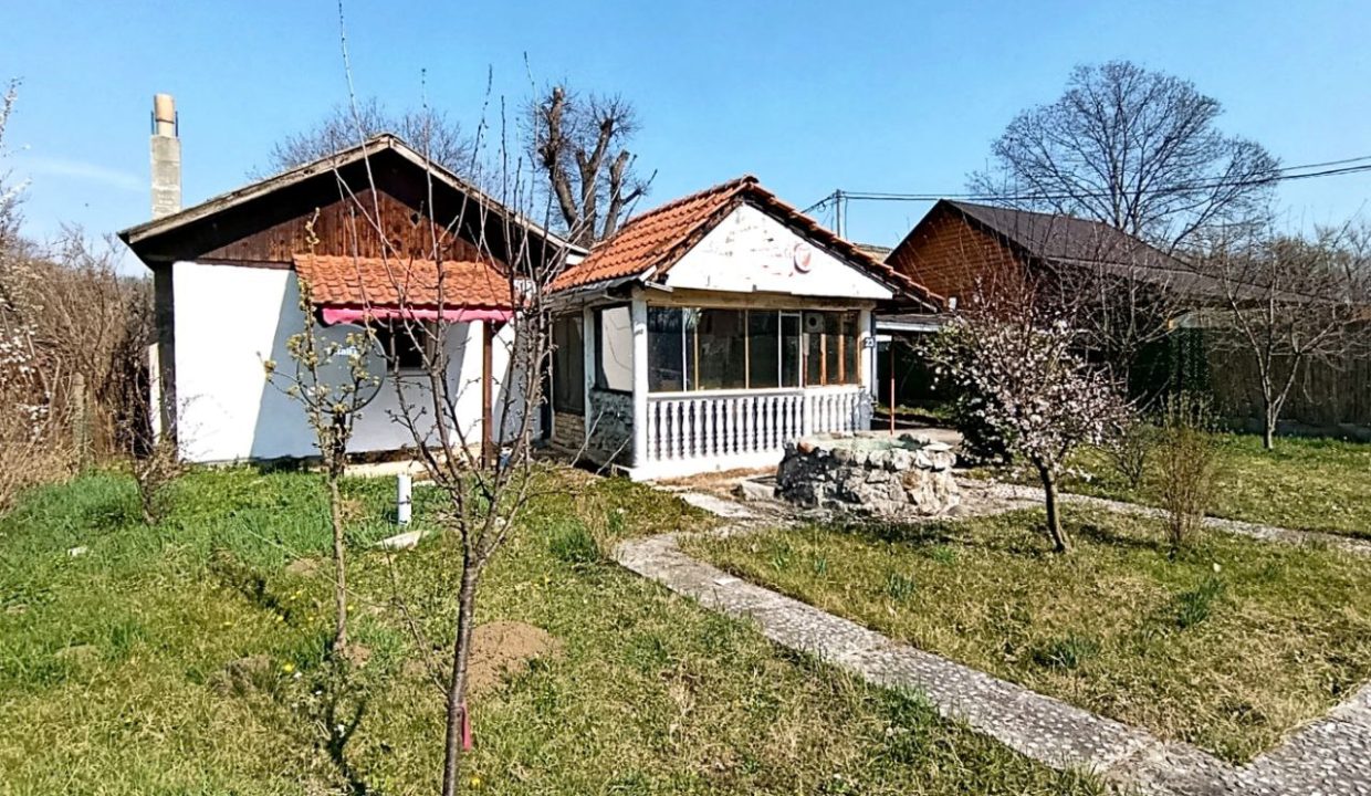 photo_2026-03-12_13-19-21