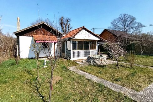 photo_2026-03-12_13-19-21