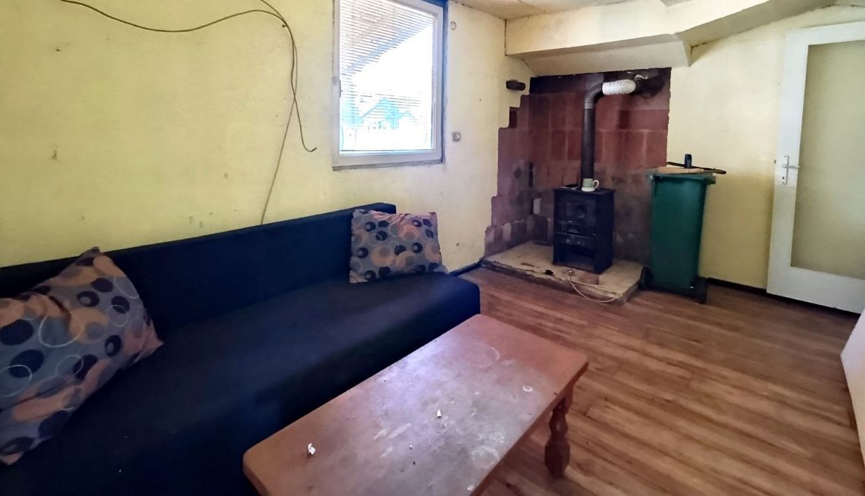 photo_2026-03-12_13-19-41