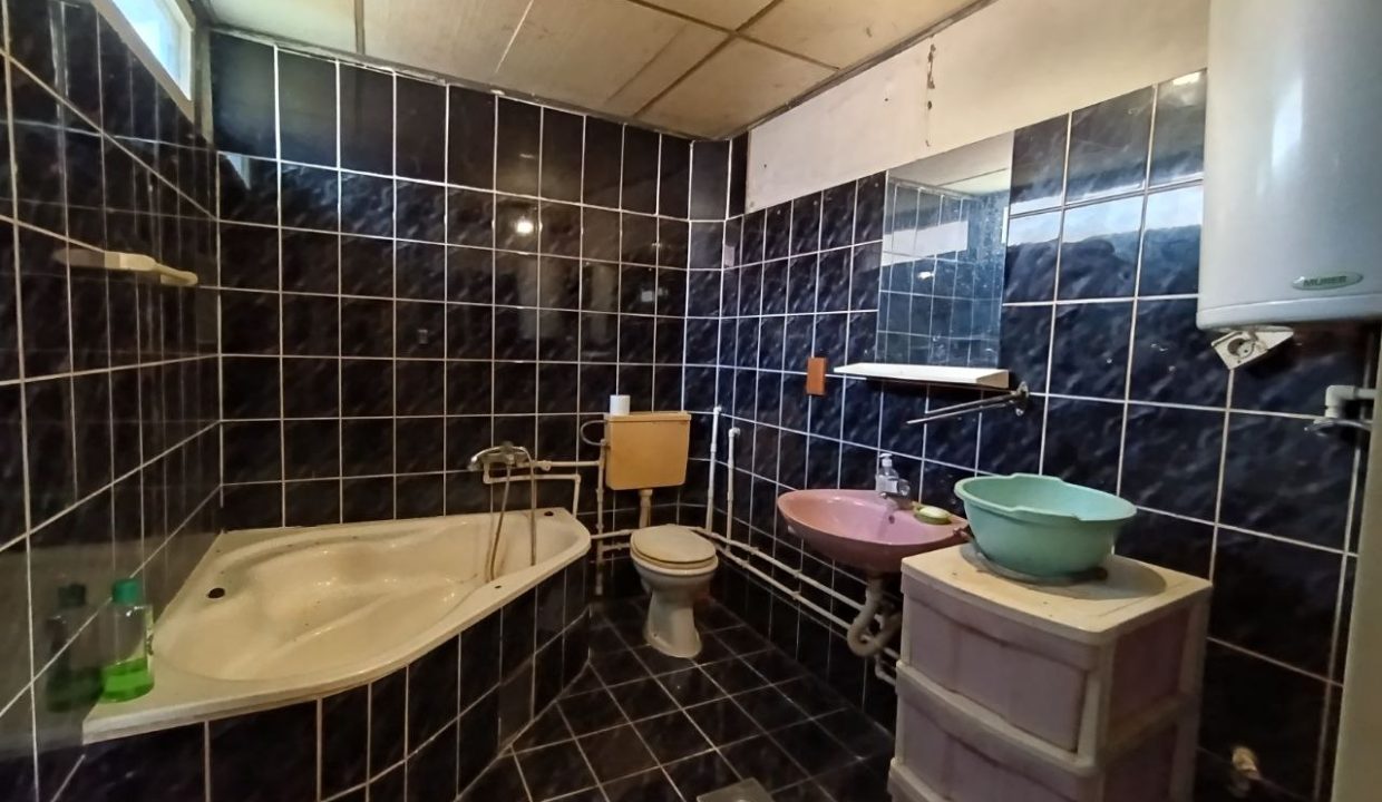 photo_2026-03-12_13-19-45