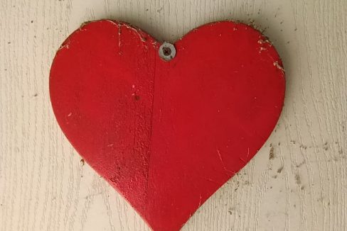 photo_2026-03-12_14-08-40