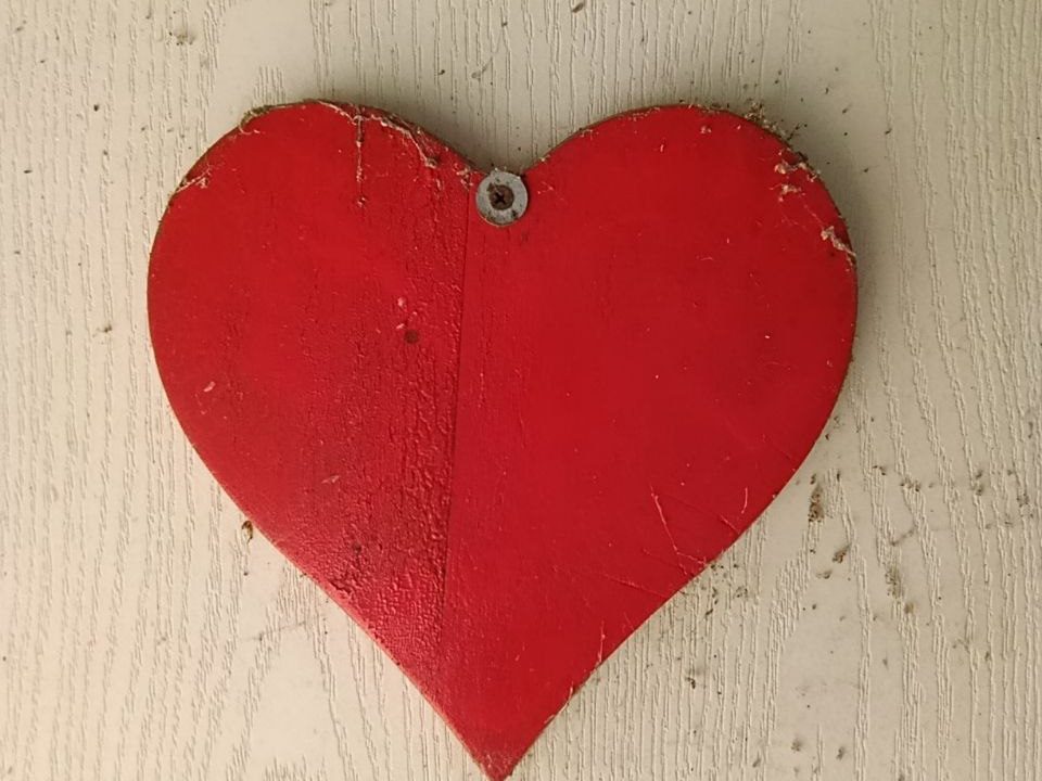 photo_2026-03-12_14-08-40