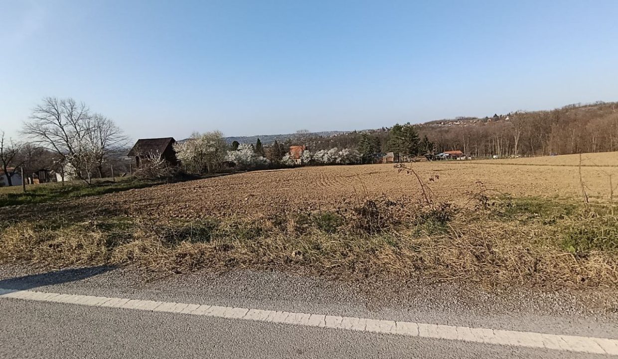 photo_2026-03-13_11-03-26