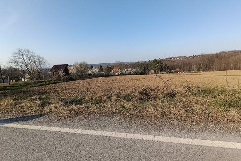 photo_2026-03-13_11-03-26