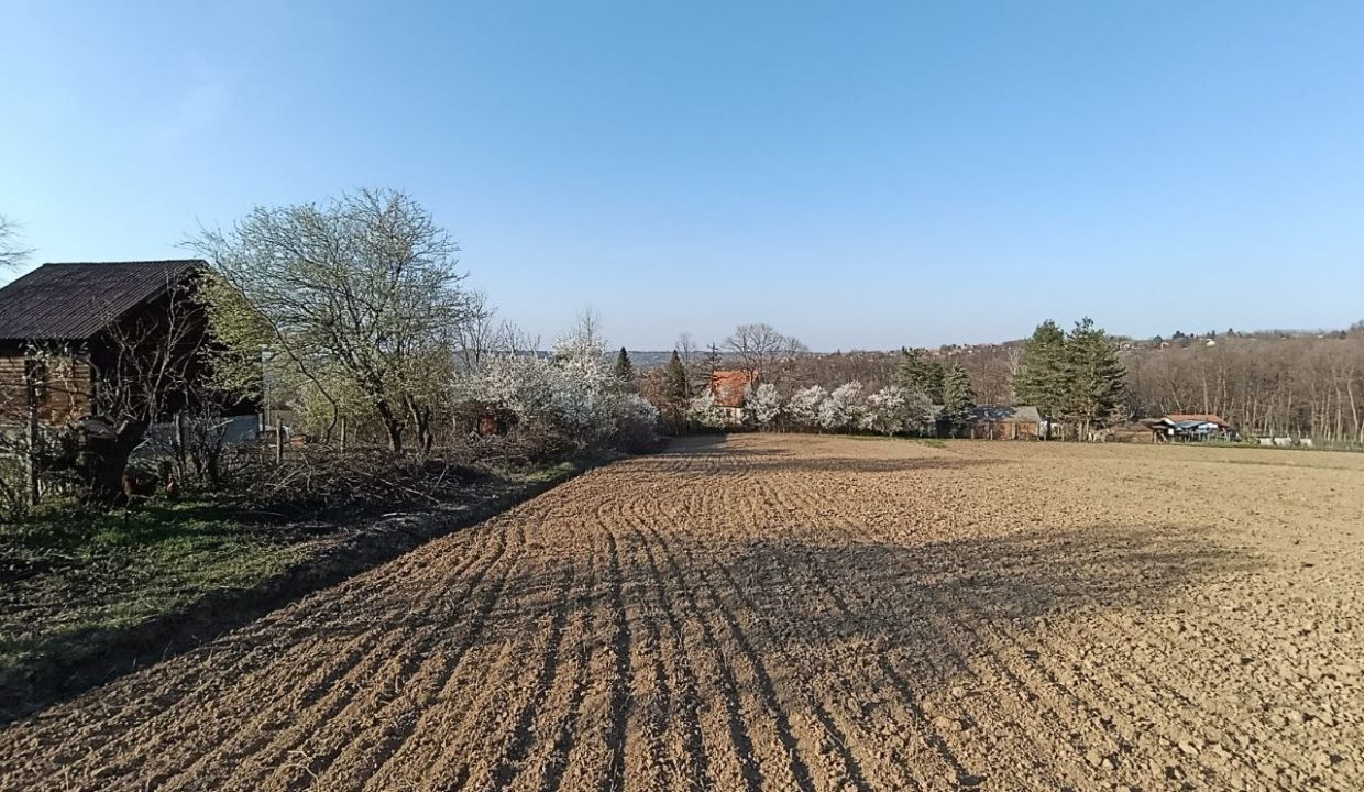 photo_2026-03-13_11-03-29