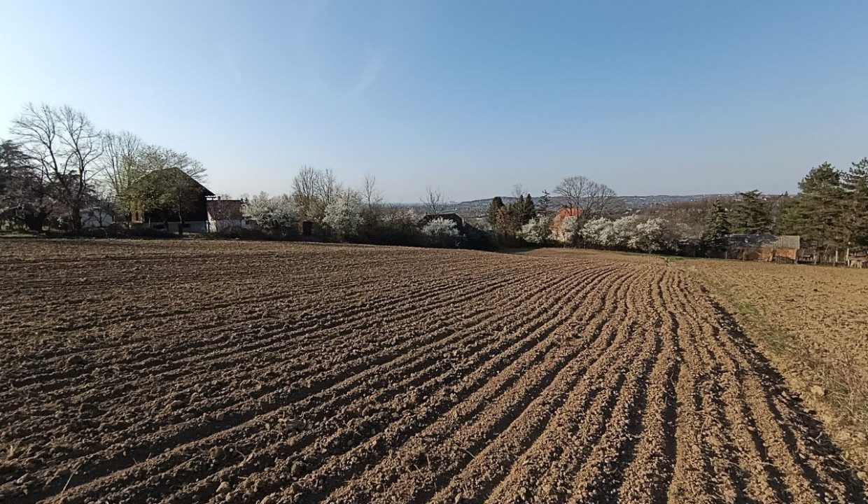 photo_2026-03-13_11-03-32