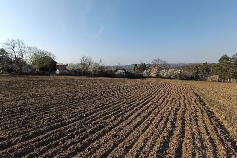 photo_2026-03-13_11-03-32