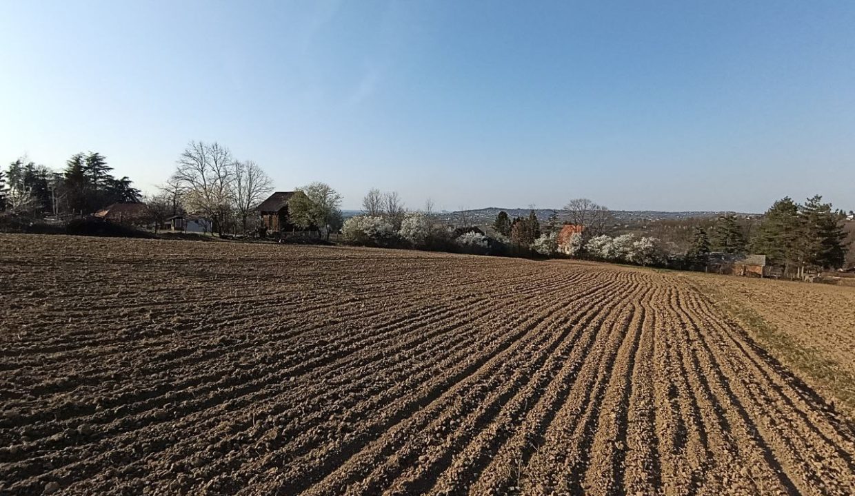 photo_2026-03-13_11-03-39