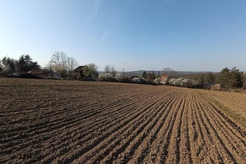 photo_2026-03-13_11-03-39